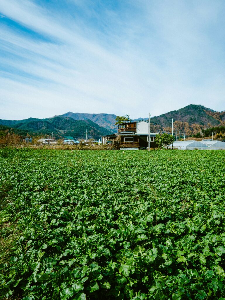 jinhan moon 9wj27t6 slu unsplash jinhan moon 9wj27t6 slu unsplash